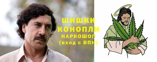 PSILOCYBIN Пестово