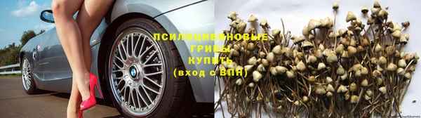 эйфоретик Беломорск