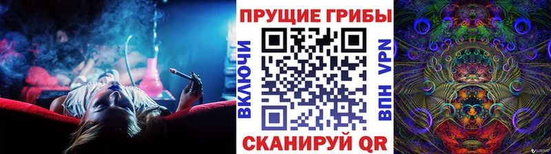 Галлюциногенные грибы Psilocybe  Кяхта 